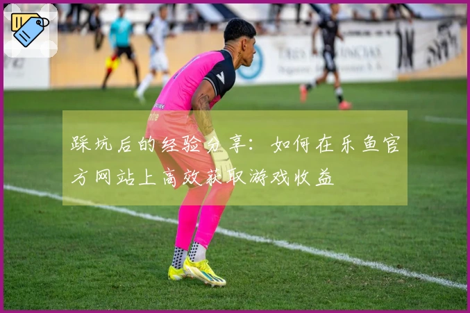 踩坑后的经验分享：如何在乐鱼官方网站上高效获取游戏收益