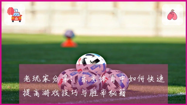 老玩家分享：乐竞体育中如何快速提高游戏技巧与胜率秘籍